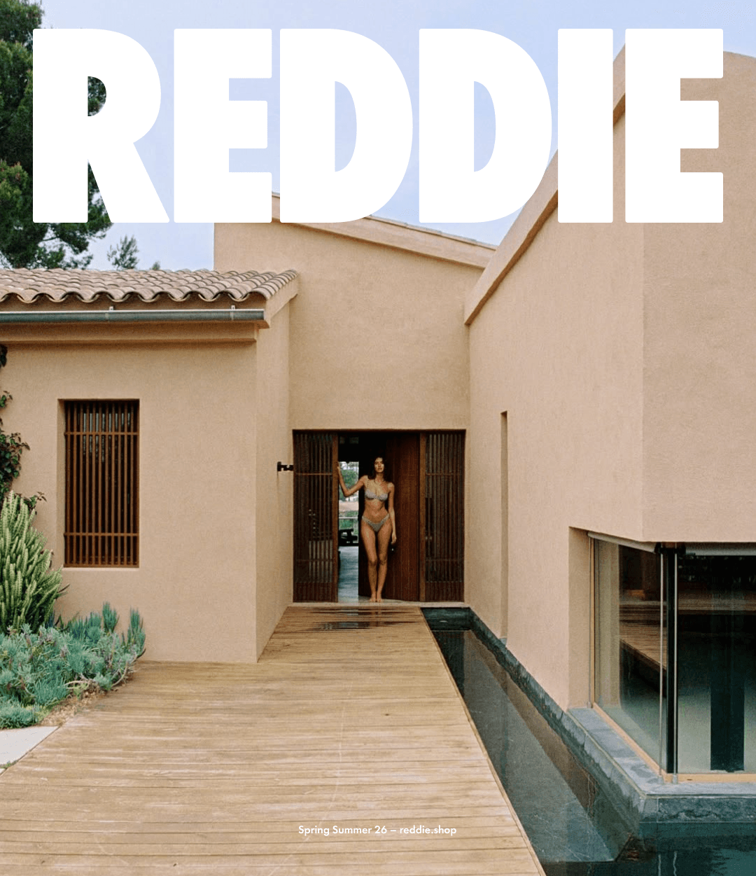 Brand Identity for REDDIE